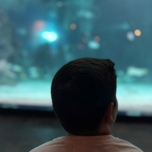 Miedo a no volver a ver a mi hijo y a posibles intolerancias